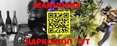 мдпв Бийск