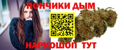 мдпв Бийск