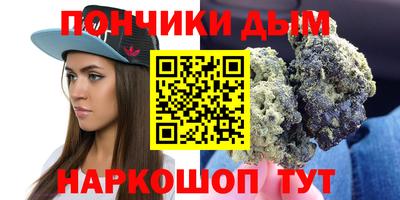мдпв Бийск