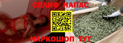 мдпв Бийск