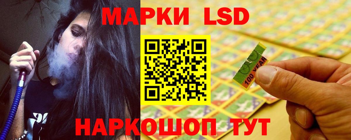 МЕФ Заволжье